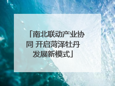 南北联动产业协同 开启菏泽牡丹发展新模式