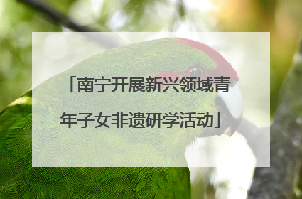 南宁开展新兴领域青年子女非遗研学活动