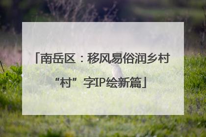 南岳区：移风易俗润乡村 “村”字IP绘新篇