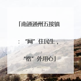 南通通州五接镇：“网”住民生，“格”外用心