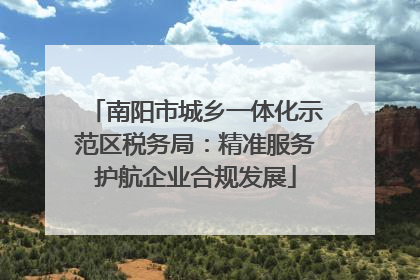 南阳市城乡一体化示范区税务局：精准服务护航企业合规发展
