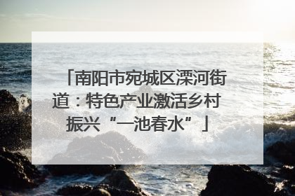 南阳市宛城区溧河街道：特色产业激活乡村振兴“一池春水”