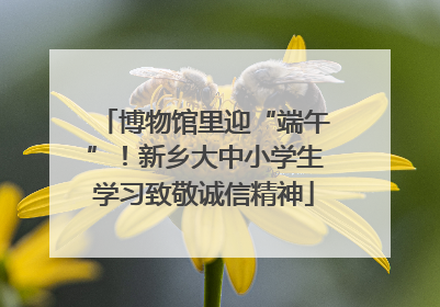 博物馆里迎“端午”！新乡大中小学生学习致敬诚信精神