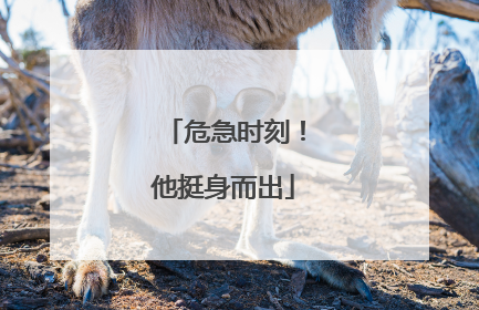 危急时刻！他挺身而出