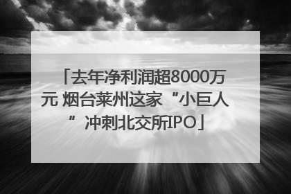 去年净利润超8000万元 烟台莱州这家“小巨人”冲刺北交所IPO