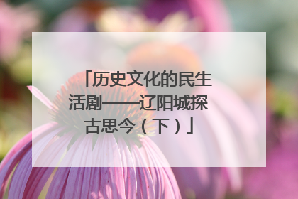 历史文化的民生活剧——辽阳城探古思今（下）