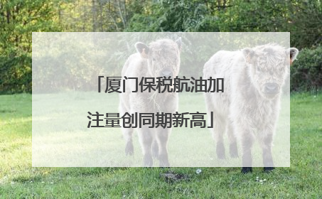 厦门保税航油加注量创同期新高
