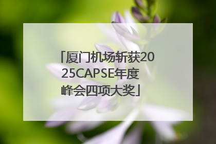 厦门机场斩获2025CAPSE年度峰会四项大奖