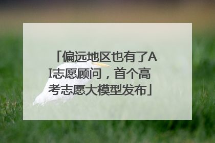 偏远地区也有了AI志愿顾问，首个高考志愿大模型发布