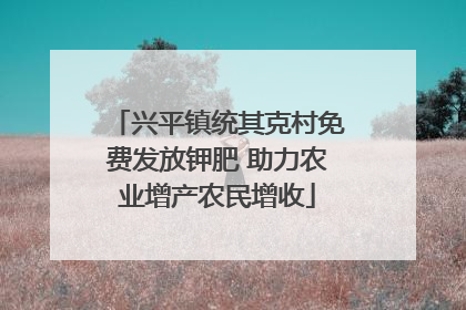 兴平镇统其克村免费发放钾肥 助力农业增产农民增收
