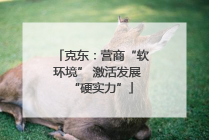 克东：营商“软环境” 激活发展“硬实力”