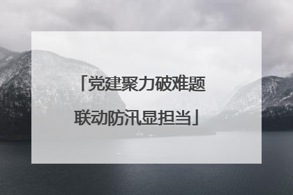 党建聚力破难题 联动防汛显担当