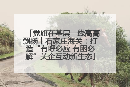 党旗在基层一线高高飘扬丨石家庄海关：打造“有呼必应 有困必解”关企互动新生态