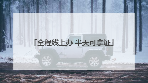 全程线上办 半天可拿证