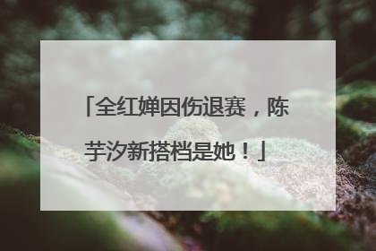 全红婵因伤退赛，陈芋汐新搭档是她！