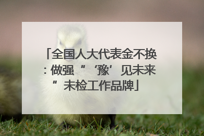 全国人大代表金不换：做强“‘豫’见未来”未检工作品牌