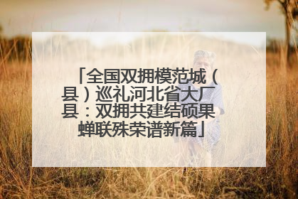 全国双拥模范城（县）巡礼河北省大厂县：双拥共建结硕果 蝉联殊荣谱新篇