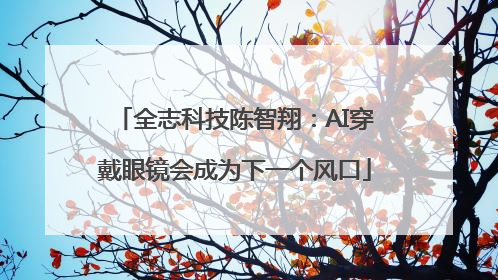 全志科技陈智翔：AI穿戴眼镜会成为下一个风口