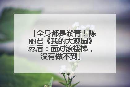 全身都是淤青！陈丽君《我的大观园》幕后：面对滚楼梯，没有做不到