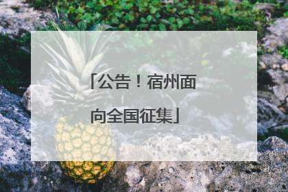 公告！宿州面向全国征集