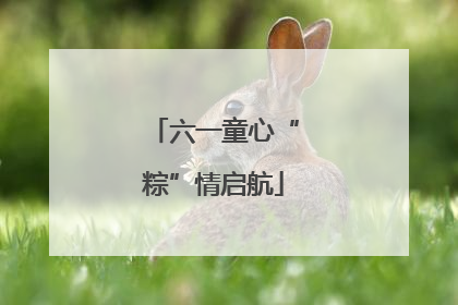 六一童心“粽”情启航