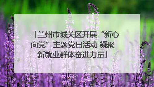 兰州市城关区开展“新心向党”主题党日活动 凝聚新就业群体奋进力量