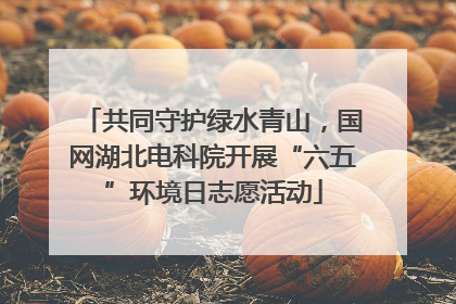 共同守护绿水青山，国网湖北电科院开展“六五”环境日志愿活动
