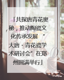 共探唐青花奥秘，推动陶瓷文化传承发展 “大唐・青花瓷学术研讨会”在郑州圆满举行