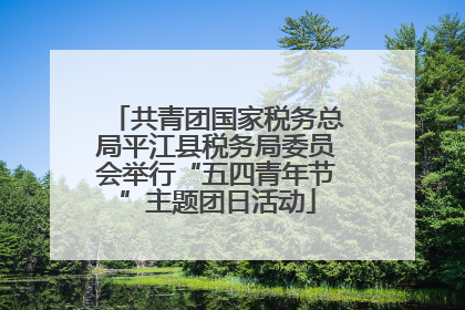 共青团国家税务总局平江县税务局委员会举行“五四青年节”主题团日活动
