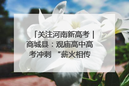 关注河南新高考｜商城县：观庙高中高考冲刺 “薪火相传”助力备考