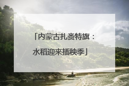 内蒙古扎赉特旗：水稻迎来插秧季