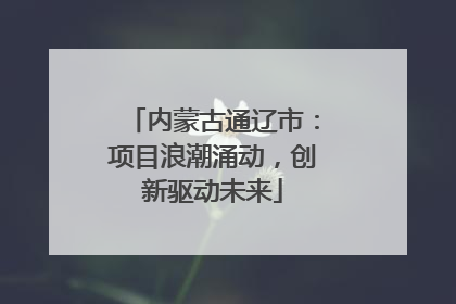 内蒙古通辽市：项目浪潮涌动，创新驱动未来