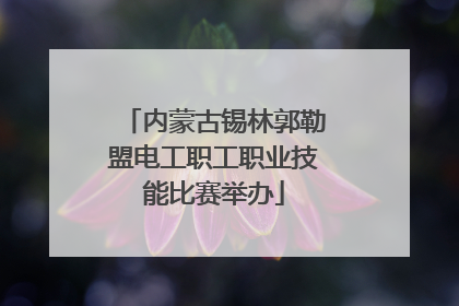 内蒙古锡林郭勒盟电工职工职业技能比赛举办