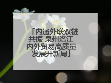 内通外联双链共振 泉州洛江内外贸易高质量发展开新局
