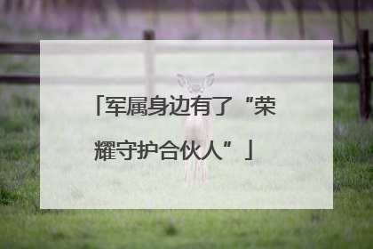 军属身边有了“荣耀守护合伙人”