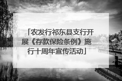 农发行祁东县支行开展《存款保险条例》施行十周年宣传活动