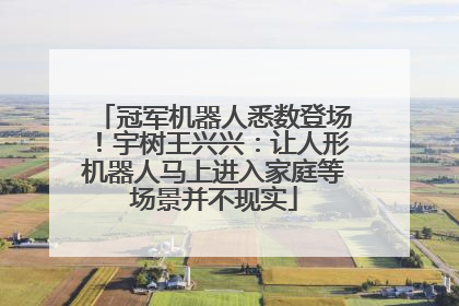 冠军机器人悉数登场！宇树王兴兴：让人形机器人马上进入家庭等场景并不现实