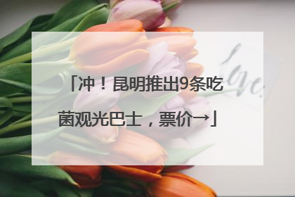 冲！昆明推出9条吃菌观光巴士，票价→