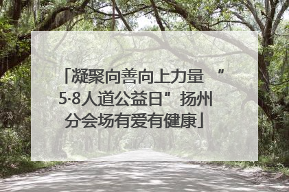 凝聚向善向上力量 “5·8人道公益日”扬州分会场有爱有健康