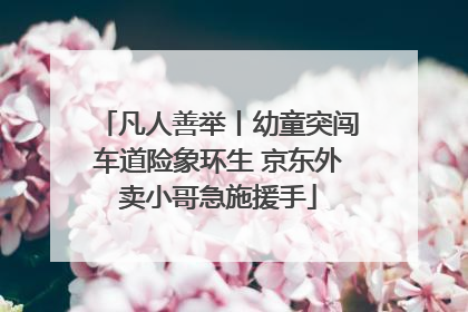 凡人善举丨幼童突闯车道险象环生 京东外卖小哥急施援手