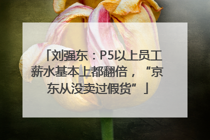 刘强东：P5以上员工薪水基本上都翻倍，“京东从没卖过假货”