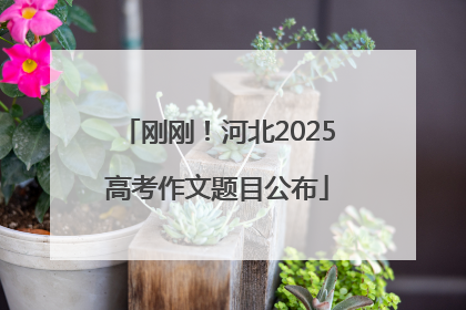 刚刚！河北2025高考作文题目公布