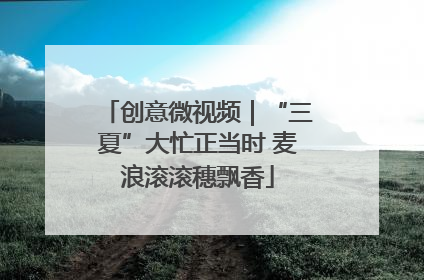 创意微视频｜“三夏”大忙正当时 麦浪滚滚穗飘香
