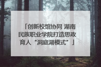 创新校馆协同 湖南民族职业学院打造思政育人“洞庭湖模式”