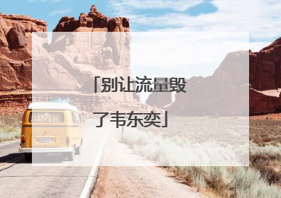 别让流量毁了韦东奕