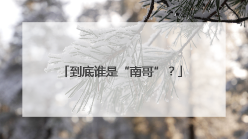 到底谁是“南哥”？