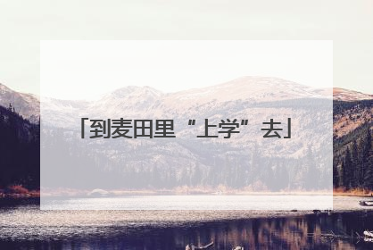 到麦田里“上学”去