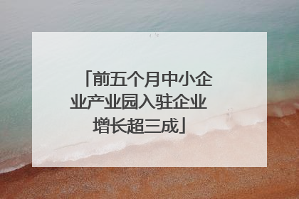 前五个月中小企业产业园入驻企业增长超三成