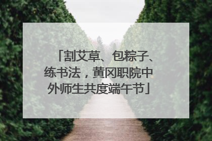 割艾草、包粽子、练书法，黄冈职院中外师生共度端午节