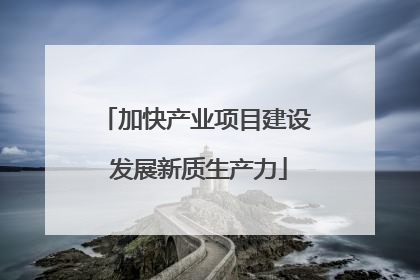 加快产业项目建设 发展新质生产力